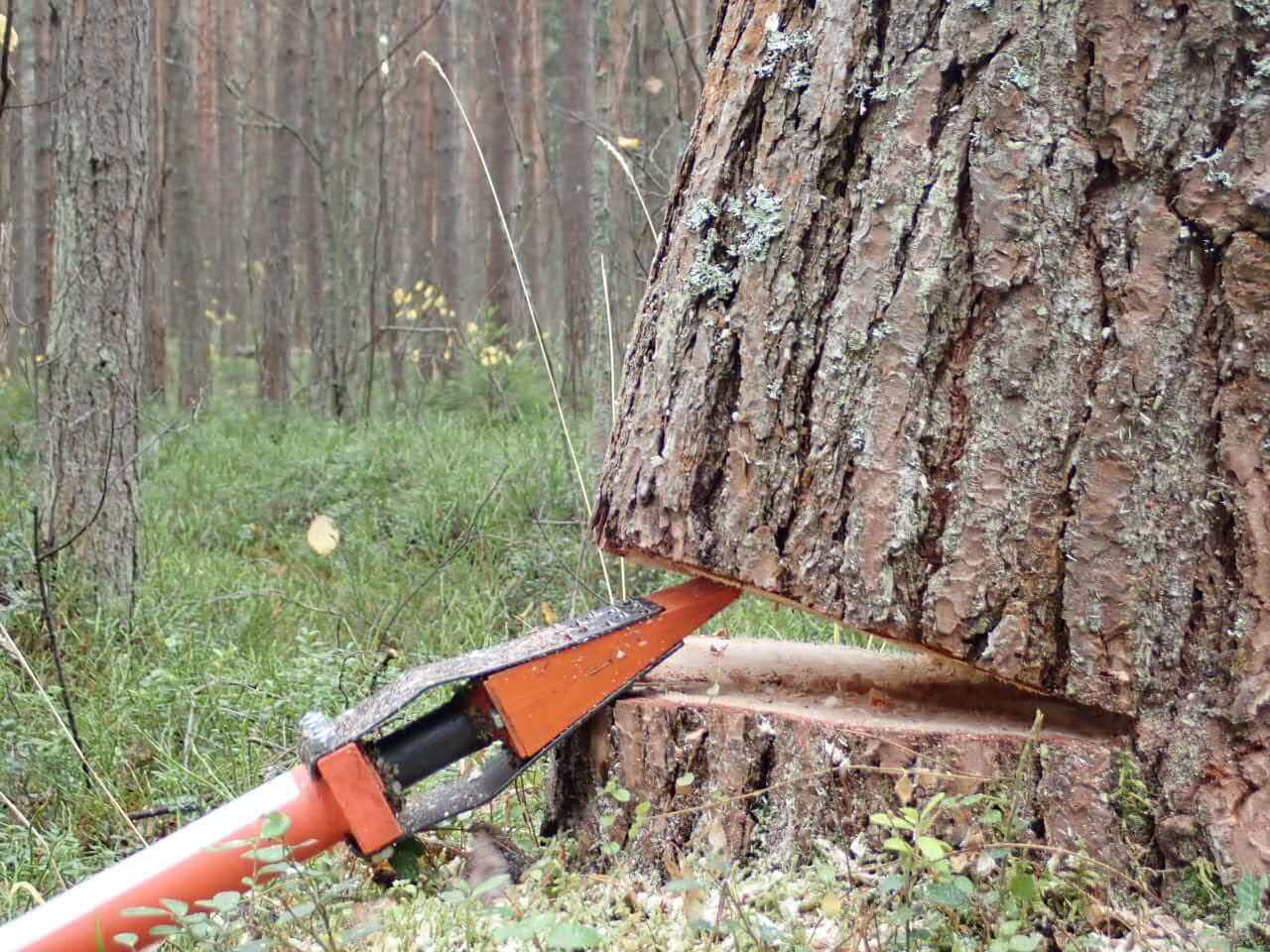 Пресечь на корню. Клин валочный механический. Клин квм-1 валочный механический. Клин валочный механический квм-1 винтовой. Винтовой валочный Клин дерево.