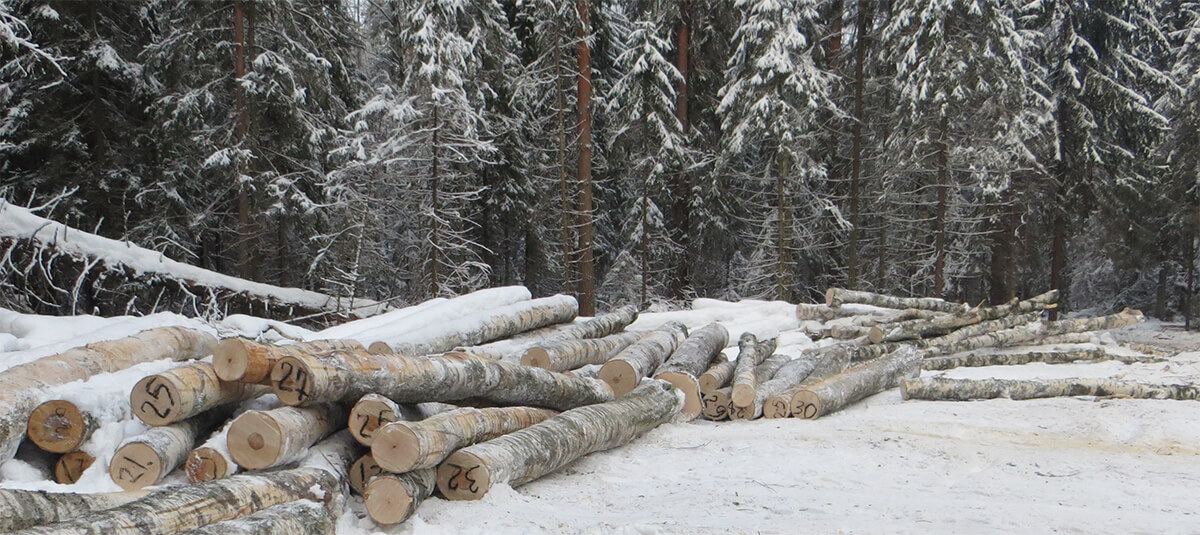 Заказать